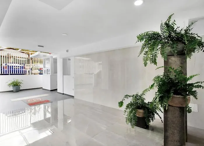 Licia Playa De Americas